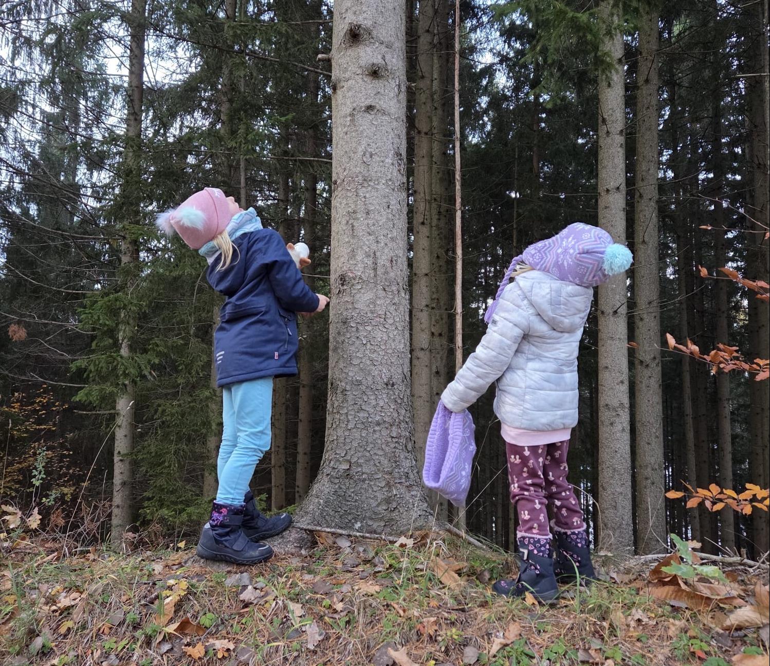 2 Kinder im Wald