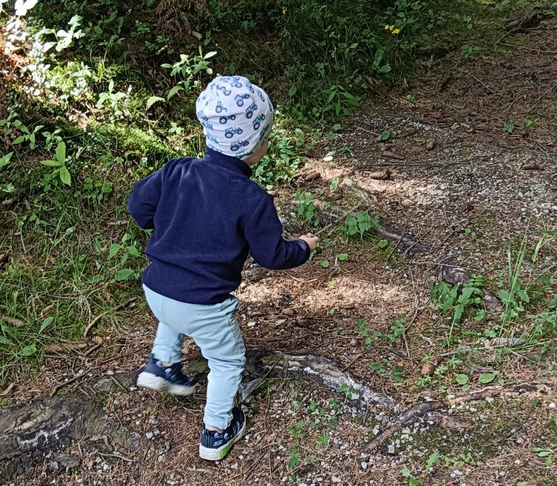 kleinkind im wald