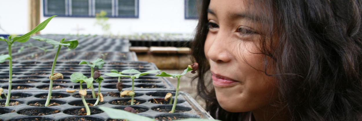 San Roque Elementary School – A new greenhouse -Educational Project of the Child & Family Foundation